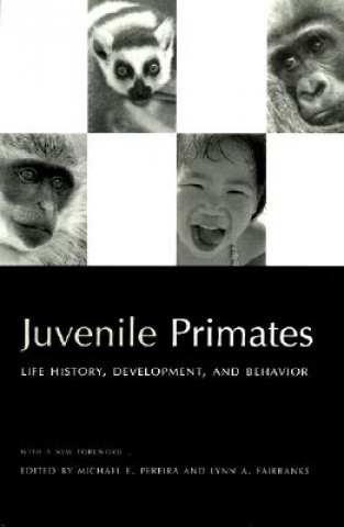 Kniha Juvenile Primates Lynn A. (Professor in the Department of Psychiatry and Fairbanks