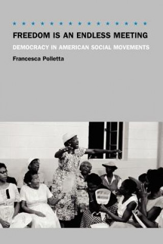 Book Freedom Is an Endless Meeting - Democracy in American Social Movements Francesca Polletta