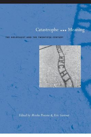 Книга Catastrophe and Meaning Moishe Postone