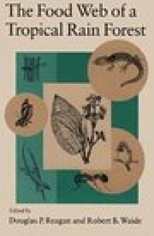 Knjiga Food Web of a Tropical Rain Forest Douglas P. Reagan