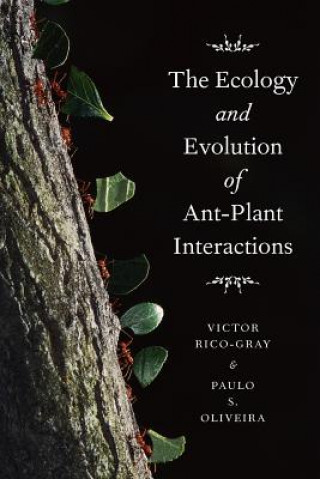Könyv Ecology and Evolution of Ant-Plant Interactions Victor Rico-Gray