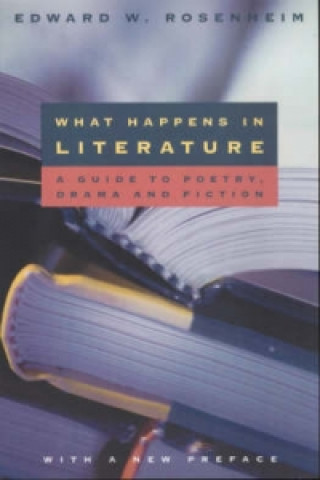 Buch What Happens in Literature Edward W. Rosenheim