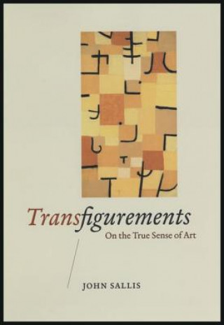 Könyv Transfigurements John Sallis