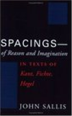 Kniha Spacings - of Reason and Imagination John Sallis