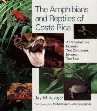 Kniha Amphibians and Reptiles of Costa Rica Jay M. Savage