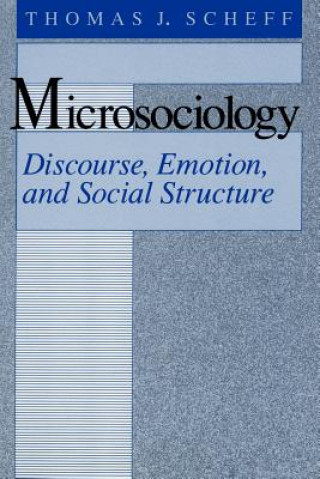 Kniha Microsociology Thomas J. Scheff