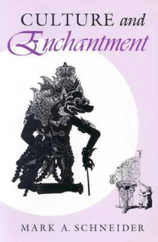 Buch Culture and Enchantment Mark A. Schneider