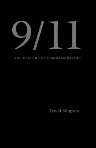 Kniha 9/11 David Simpson