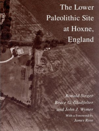 Kniha Lower Paleolithic Site at Hoxne, England Ronald Singer