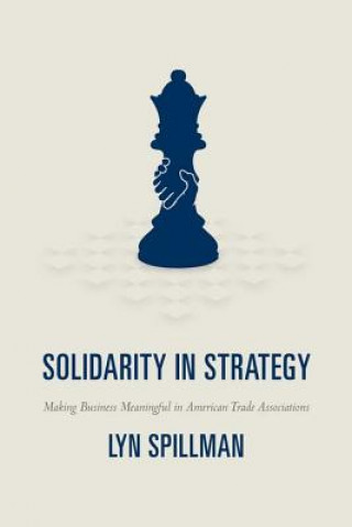 Kniha Solidarity in Strategy Lyn Spillman