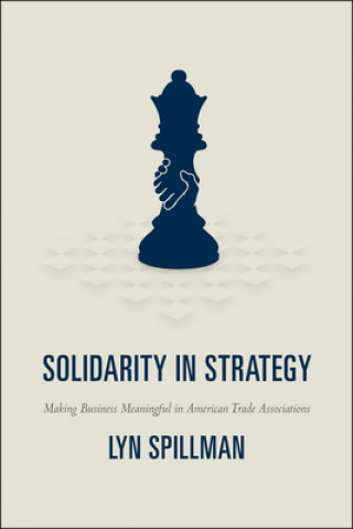 Kniha Solidarity in Strategy Lyn Spillman