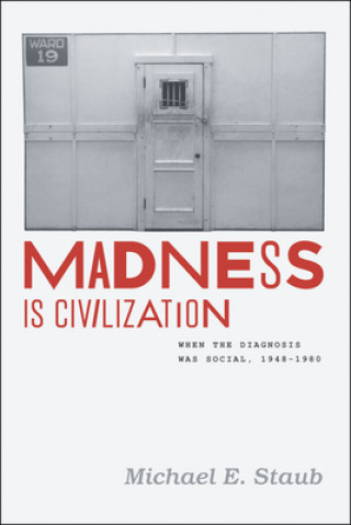 Könyv Madness is Civilization Michael E. Staub