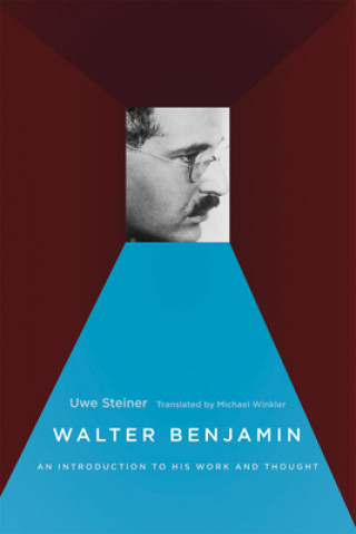 Książka Walter Benjamin Uwe Steiner