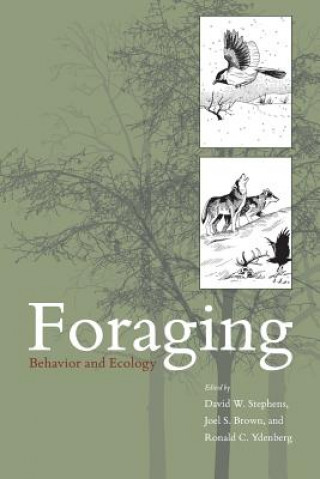 Kniha Foraging 