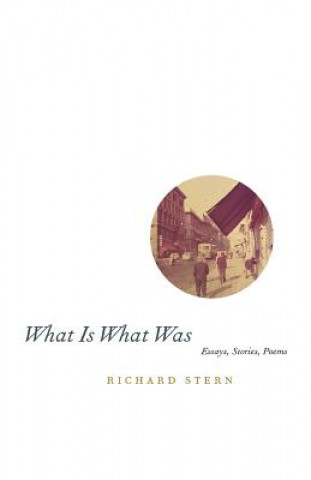 Książka What Is What Was Richard Stern