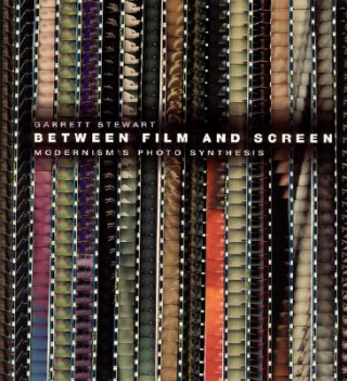 Könyv Between Film and Screen Garrett Stewart