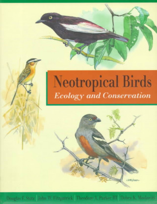 Könyv Neotropical Birds Douglas F. Stotz