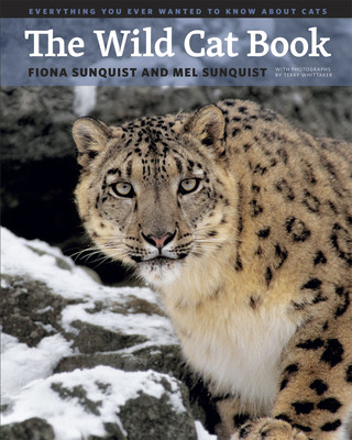 Kniha Wild Cat Book Fiona Sunquist