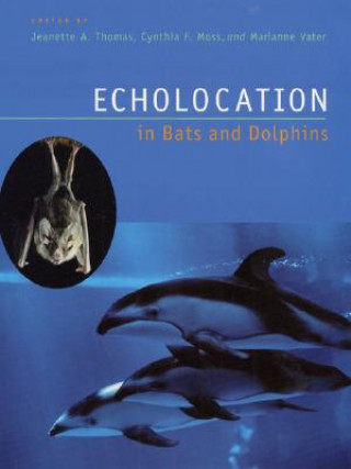Kniha Echolocation in Bats and Dolphins Jeanette A. Thomas