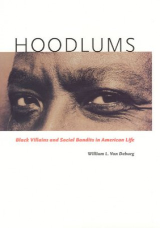 Knjiga Hoodlums William L. Van Deburg