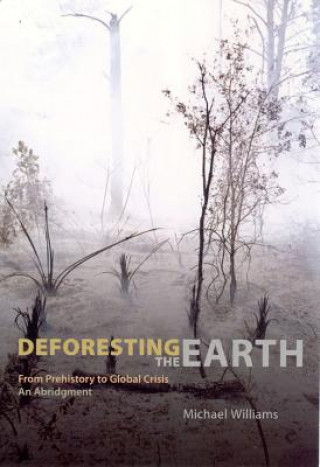 Kniha Deforesting the Earth Michael Williams