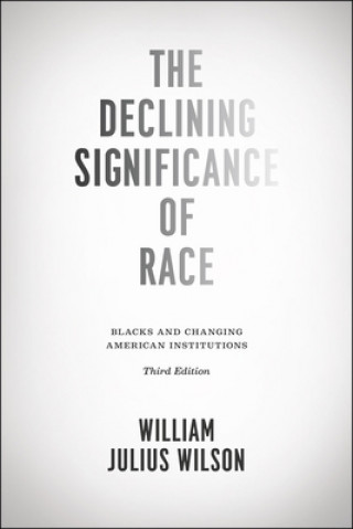 Kniha Declining Significance of Race - Blacks and Changing American Institutions, Third Edition William Julius Wilson