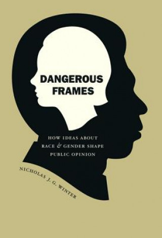 Book Dangerous Frames Nicholas J.G. Winter