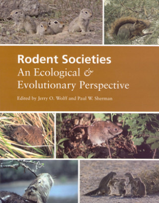 Kniha Rodent Societies Jerry O. Wolff
