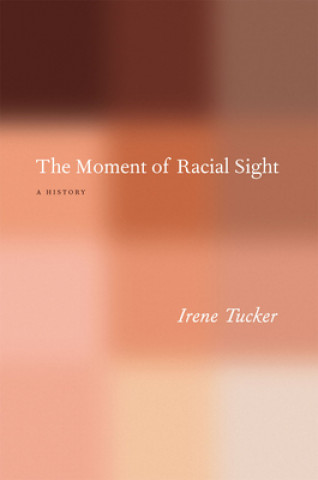 Kniha Moment of Racial Sight Irene Tucker