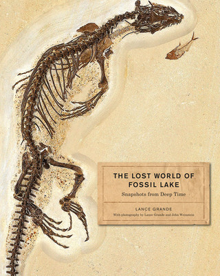 Book Lost World of Fossil Lake Lance Grande