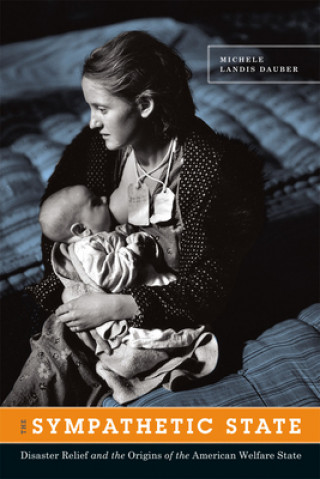 Knjiga Sympathetic State Michele Landis Dauber