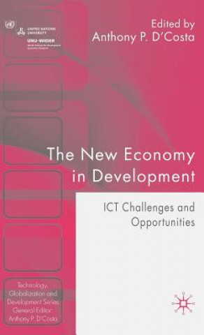 Buch New Economy in Development A. D'Costa