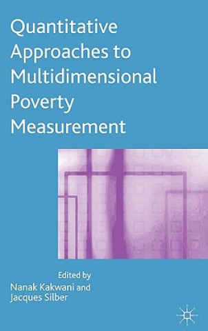 Buch Quantitative Approaches to Multidimensional Poverty Measurement N. Kakwani