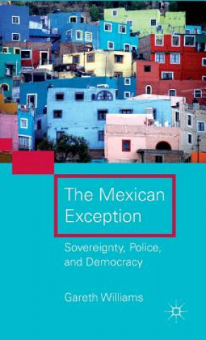 Kniha Mexican Exception Gareth Williams