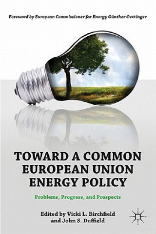 Carte Toward a Common European Union Energy Policy V. Birchfield