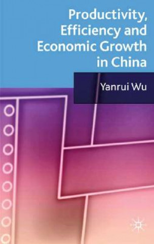 Kniha Productivity, Efficiency and Economic Growth in China Yanrui Wu