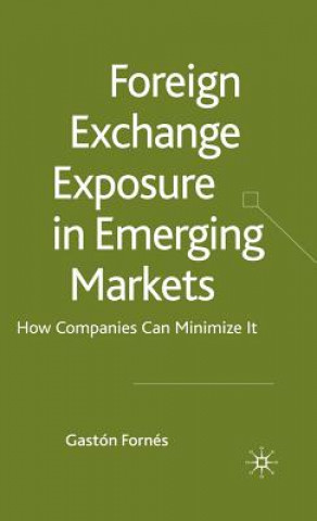 Boek Foreign Exchange Exposure in Emerging Markets Gaston Fornes