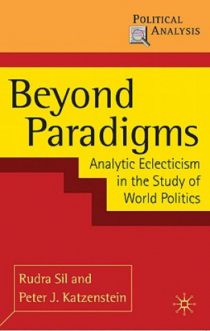 Buch Beyond Paradigms Rudra Sil