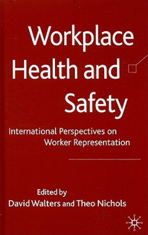 Könyv Workplace Health and Safety David Walters