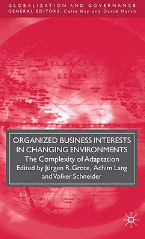 Buch Organized Business Interests in Changing Environments J. Grote