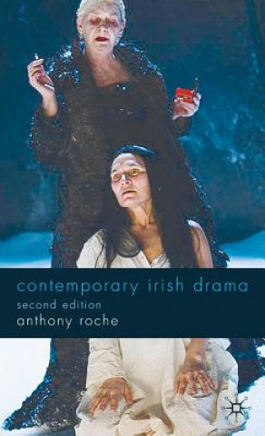 Kniha Contemporary Irish Drama Anthony Roche