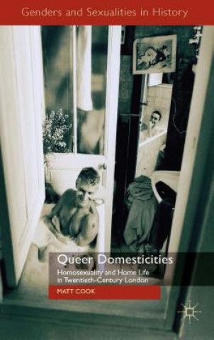 Kniha Queer Domesticities Matt Cook