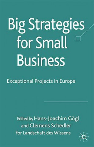 Kniha Big Strategies for Small Business H. Gogl