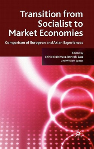 Buch Transition from Socialist to Market Economies S. Ichimura