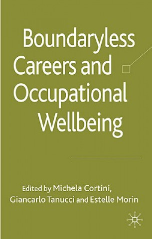 Könyv Boundaryless Careers and Occupational Wellbeing M. Cortini