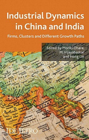Книга Industrial Dynamics in China and India M. Ohara