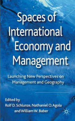 Könyv Spaces of International Economy and Management R. D Schlunze