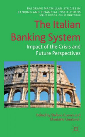 Könyv Italian Banking System Stefano Cosma