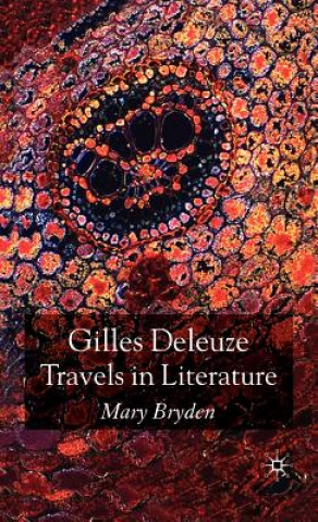 Buch Gilles Deleuze: Travels in Literature Mary Bryden