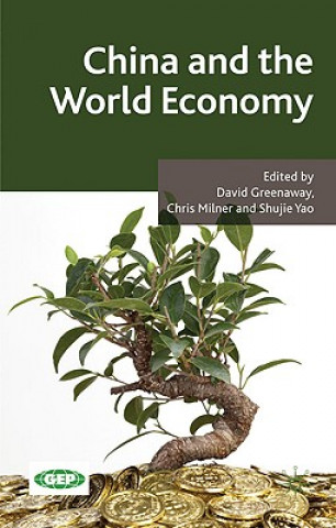 Książka China and the World Economy D. Greenaway